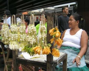 The Sweet Little Sampaguita, the Filipinos, and the Malolos 'Planta' 2