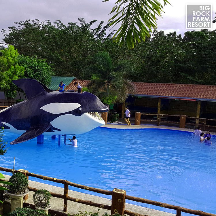 Top 10 Resorts in Bulacan for the Ultimate Family Getaway 15