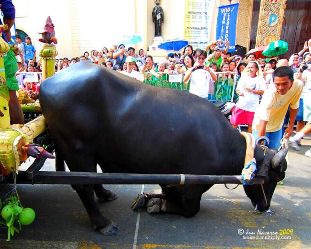 5 Fascinating Bulacan Festivals during the Month of May 6
